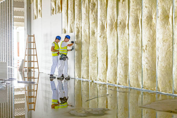 Best Eco-Friendly Insulation in Newville, PA